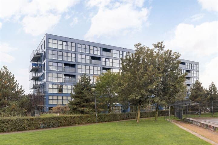 apartment in 2