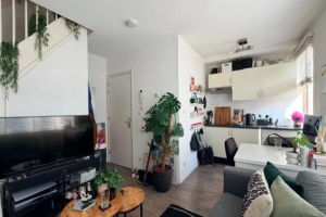 Foto 1